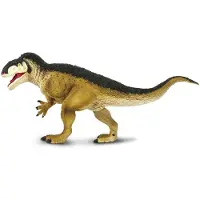 Safari 302329
