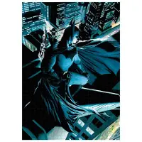 SD Toys DC Comics Batman Puzzle Gardiens de Gotham