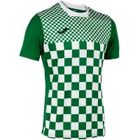 Joma Flag Iii T-shirt manches courtes Vert,Blanc L Homme Vert,Blanc L