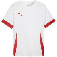 Puma T-Shirt fonctionnel 'TeamGoal Matchday' rouge / blanc