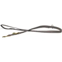 Beeztees BZ BALACRON LAISSE AX BRN 100X1 (Chien, Promenade, Sport canin)