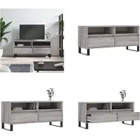 vidaXL Armoire TV Gris Sonoma 100x34,5x44,5 cm Bois composite - Armoire TV - Panneaux TV - Tableau TV