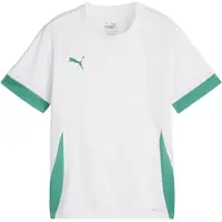 Puma Teamgoal Matchday Jersey Short Sleeve Kids - Blanc / Vert