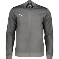 Puma Veste outdoor 'Team Goal' gris foncé / blanc