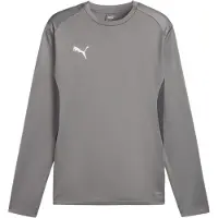 Puma Hommes, T-shirt de sport, teamGOAL Sweat d'entraînement (M), Gris, M