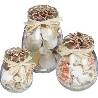Relaxdays Décoration coquillages, lot de 3, mélange de vrais coquillages, bocaux de différentes tailles, style marin, décoration de salle de bain, naturel