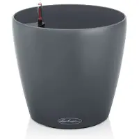 Lechuza Classico Color ECO (21.50 x 21.50 x 20.50 cm)