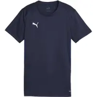 Puma Femmes, T-shirt de sport, teamGOAL Jersey Wmn (L), Bleu, L