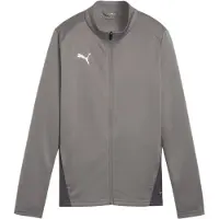 Puma Vestes d’entraînement 'TeamGoal' gris / gris clair