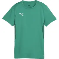 Puma Femmes, T-shirt de sport, teamGOAL Jersey Wmn (XL), Vert, XL