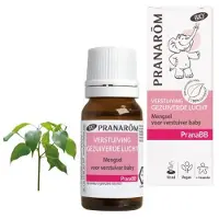 Pranarôm Mélange pour Diffuseur PranaBB Air Pur Bio 10 ml Huile