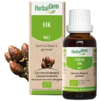 Herbalgem CHÊNE 30 ml Goutte(S)