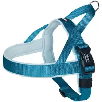 Nobby Harnais norvégien Classic Preno (L, Chien, Général, Promenade)