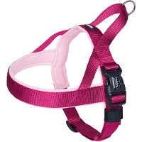 Nobby Harnais Norvégien Pour Chien Nobby Pet Classic Preno