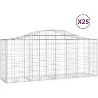 vidaXL Gabions avec arc surélevé 25 pcs. 200x50x80/100cm Fer galvanisé