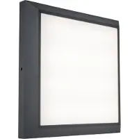 Lutec Applique carrée Helena anthracite