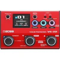 VE-22 Vocal Performer