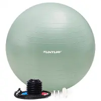 Tunturi Fitball 65 Cm Vert 65 cm