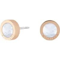 Tommy Hilfiger 2780663 Earrings Doré Femme