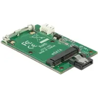 DeLOCK Convertisseur SATA 7 Pin > mSATA full size (SATA)