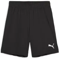 Puma Pantalon Team Goal S12979