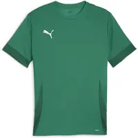 Puma Teamgoal Matchday Jersey manches courtes hommes - Vert