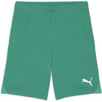 Puma Pantalon Team Goal S0060