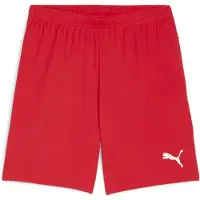 Puma Teamgoal Shorts Men - Rouge
