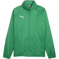 Puma Veste de sport 'TeamGoal' vert / blanc