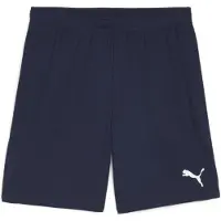 Puma Pantalon Team Goal S0061