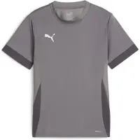 Puma Teamgoal Matchday Short Sleeve Jersey Kids - Grey