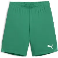 Puma Teamgoal Short Enfants - Vert
