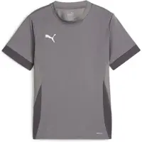 Puma Teamgoal Matchday Short Sleeve Jersey Kids - Grey