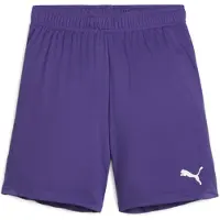Puma Garçons, Bas de sport, teamGOAL Short Jr (116), Violet