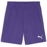 Puma Hommes, Bas de sport, teamGOAL Short (S), Violet