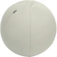 Leitz Active Anti Slip Seat Ball 55 Cm Beige