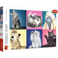 Trefl 37377 puzzle Puzzle 500 pièces Animaux