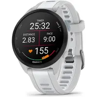 Garmin Forerunner 165 Music Gris/Blanc