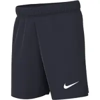 Nike Dri-fit Academy Pro 24 Shorts Noir 4-5 Years Enfants