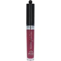 Bourjois Fabuleux Brillant à lèvres hydratant Ruj Moisturising 008 Berry Talented, 3.5ml