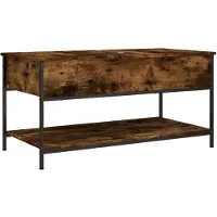 vidaXL Table basse chêne fumé 100x50x50 cm bois composite et métal