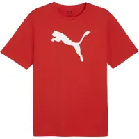 Puma Teamrise T-Shirt Hommes - Rouge