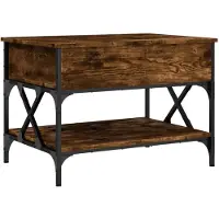 vidaXL Table basse chêne fumé 70x50x50 cm bois composite et métal