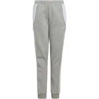 Adidas Pantalon de sport 'Tiro 24' gris chiné / blanc