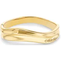 Calvin Klein Bracelet 'ELEMENTAL' or