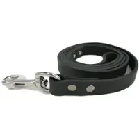 Brekz Laisse de marche pour chien en cuir noir