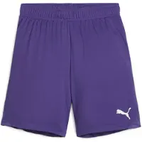 Puma Garçons, Bas de sport, teamGOAL Short Jr (152), Violet