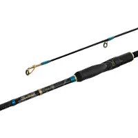 Delphin Zandera NX LOWER 210cm/3-18g/2 pièces