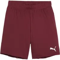 Puma Teamgoal Shorts Kids - Bordeaux