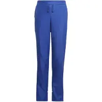 Adidas Pantalon de sport bleu roi